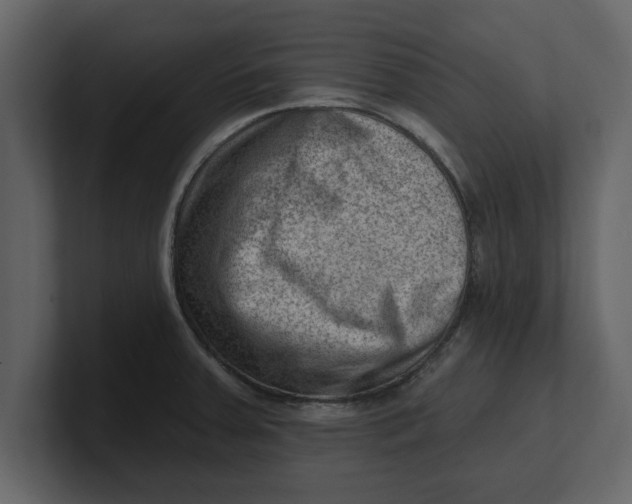 X0000100961379200807151349