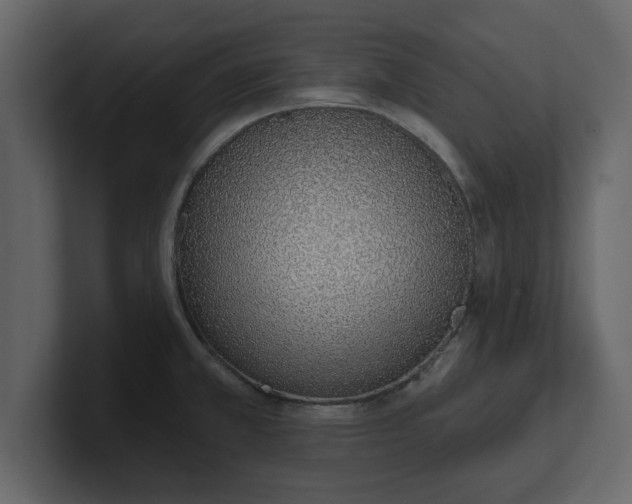 X0000100961381200807151349