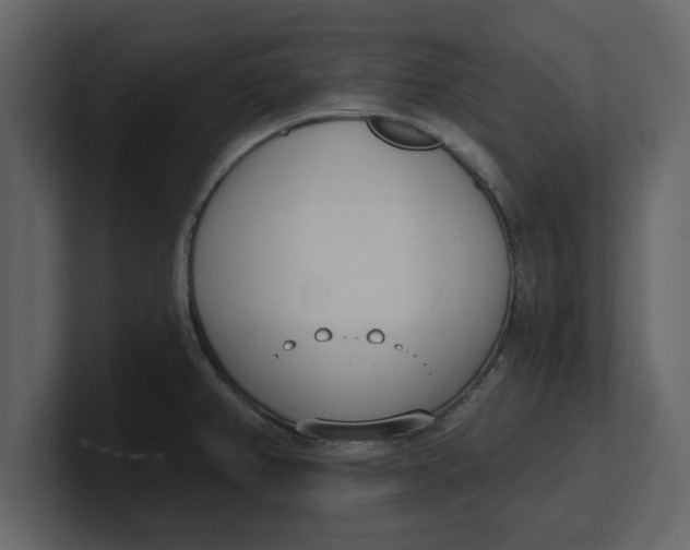 X0000100961382200807151349