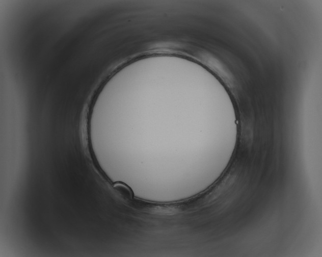 X0000100961384200807151349