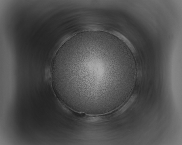 X0000100961385200807151349