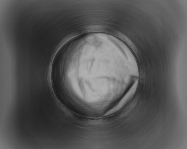 X0000100961386200807151349