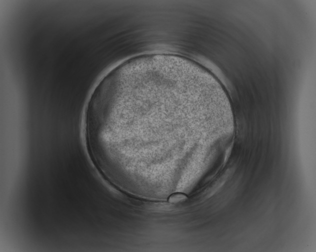 X0000100961387200807151349