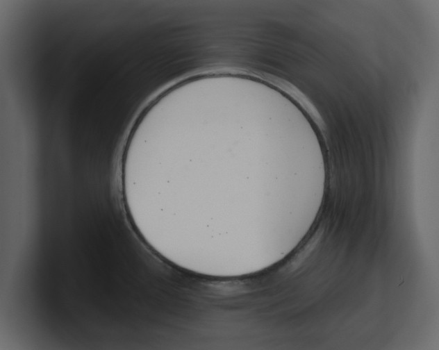 X0000100961388200807151349