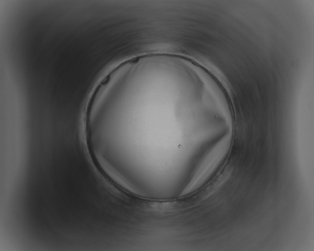 X0000100961389200807151349