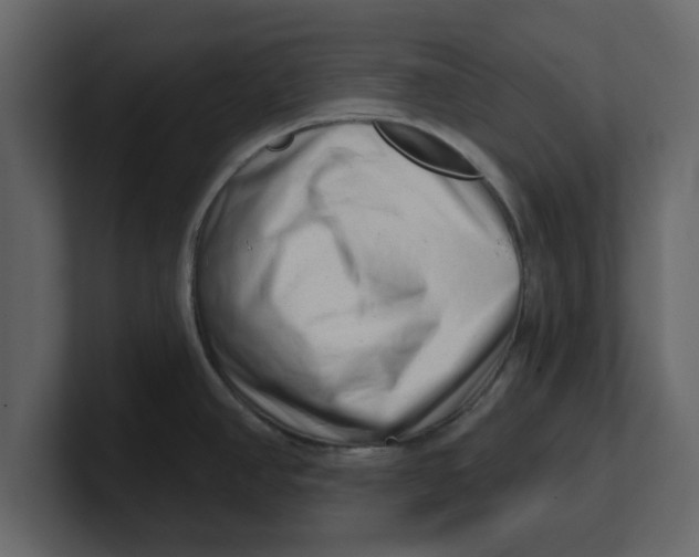 X0000100961390200807151349