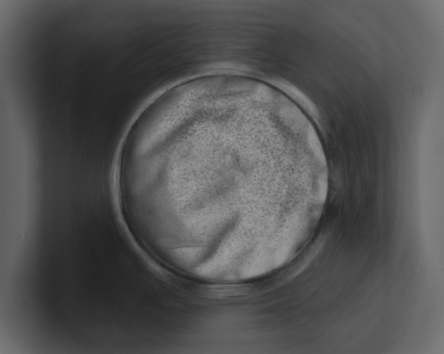 X0000100961391200807151349