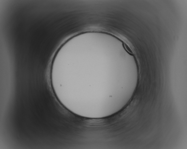 X0000100961392200807151349