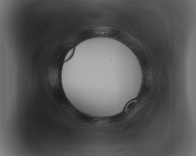 X0000100961394200807151348