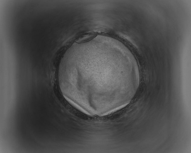 X0000100961399200807151348