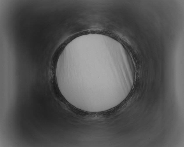 X0000100961400200807151348