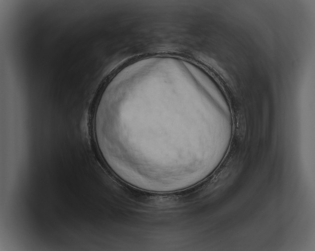 X0000100961404200807151348