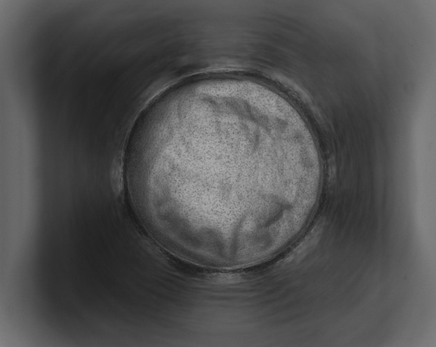 X0000100961409200807151348