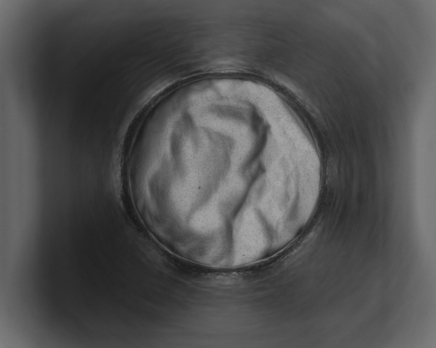 X0000100961410200807151348