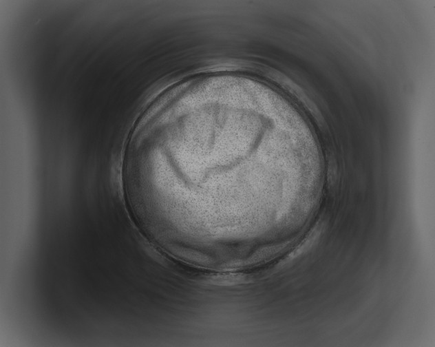 X0000100961417200807151348