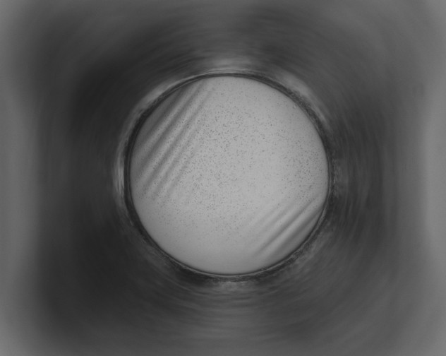 X0000100961419200807151348