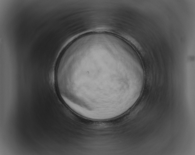 X0000100961420200807151348