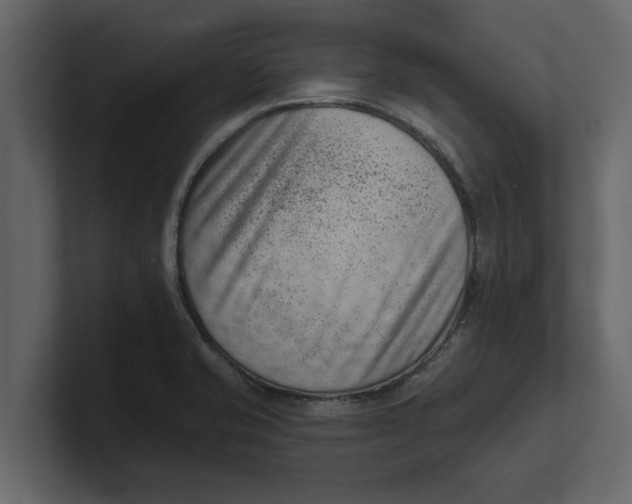 X0000100961421200807151348