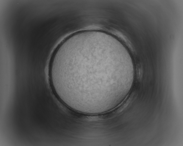 X0000100961422200807151348