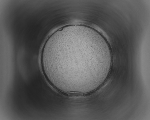 X0000100961429200807151348