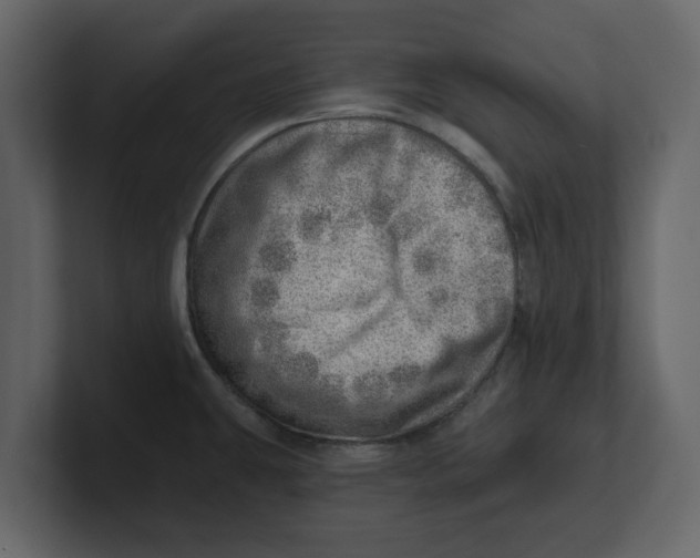 X0000100961431200807151348