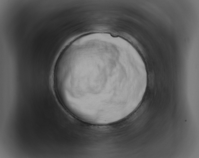 X0000100961432200807151348