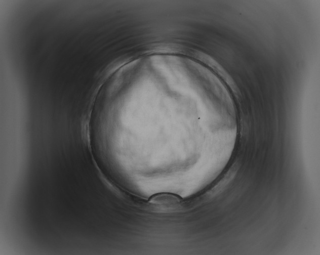 X0000100961433200807151348