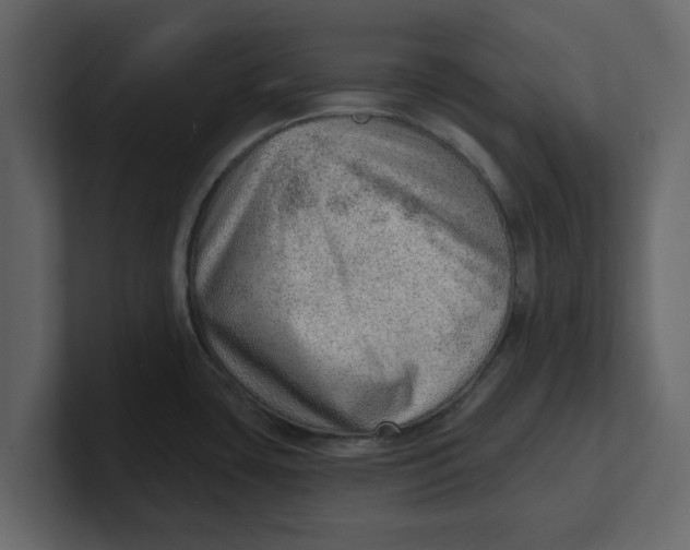 X0000100961435200807151349