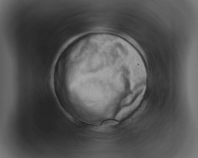 X0000100961437200807151349