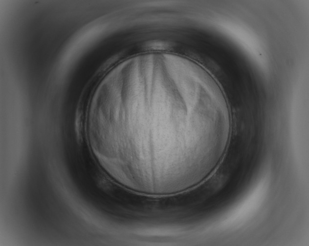 X0000100961438200807151349