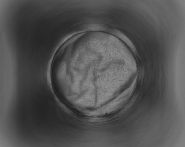 X0000100961439200807151349