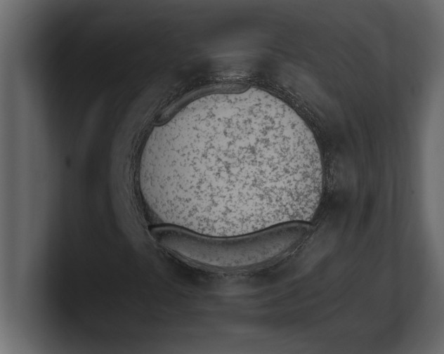 X0000100961441200807151348