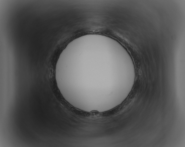 X0000100961447200807151348