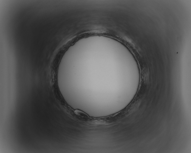 X0000100961448200807151348