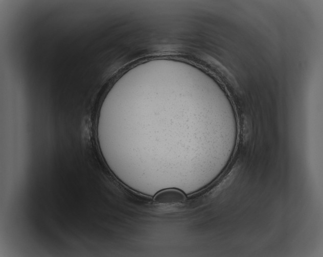 X0000100961449200807151348