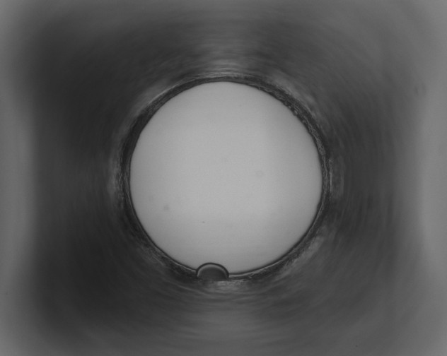 X0000100961453200807151348