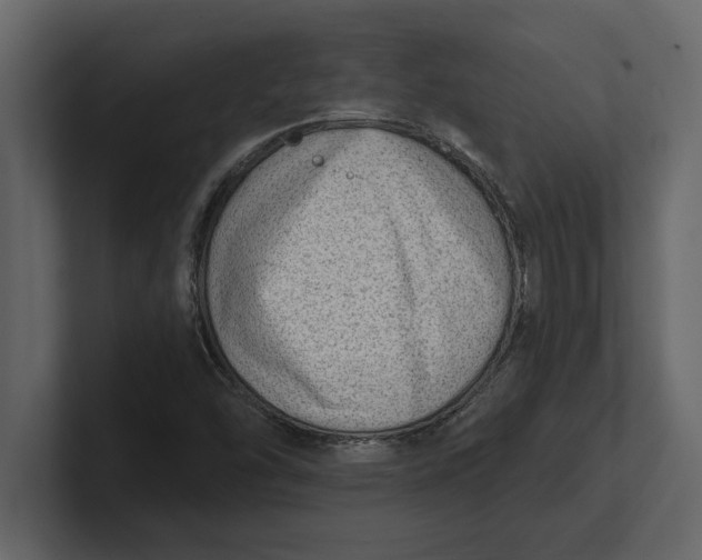 X0000100961454200807151348