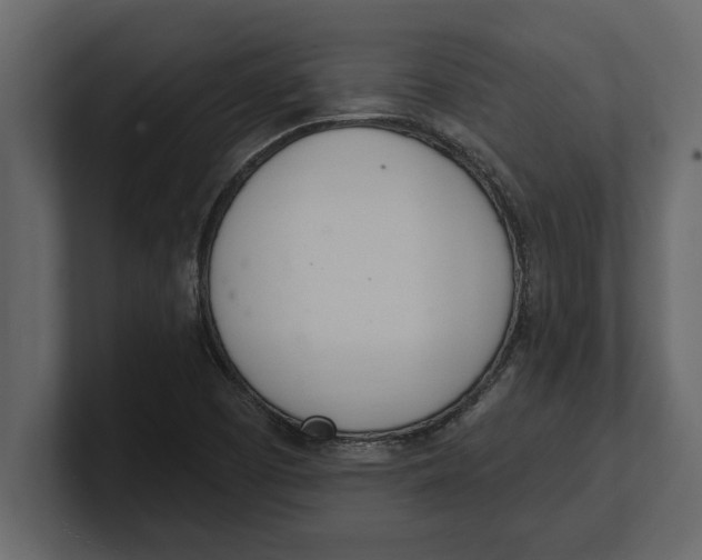 X0000100961457200807151348