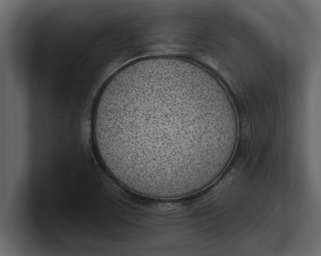 X0000100961459200807151348