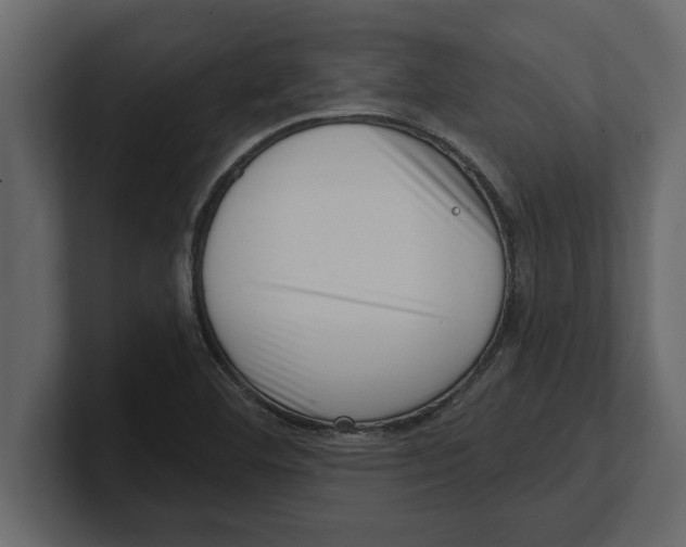 X0000100961460200807151348