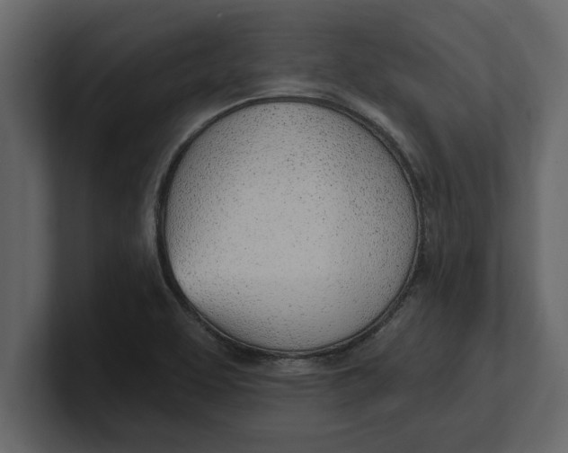 X0000100961463200807151348