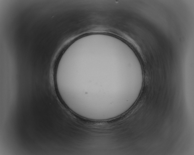 X0000100961464200807151348