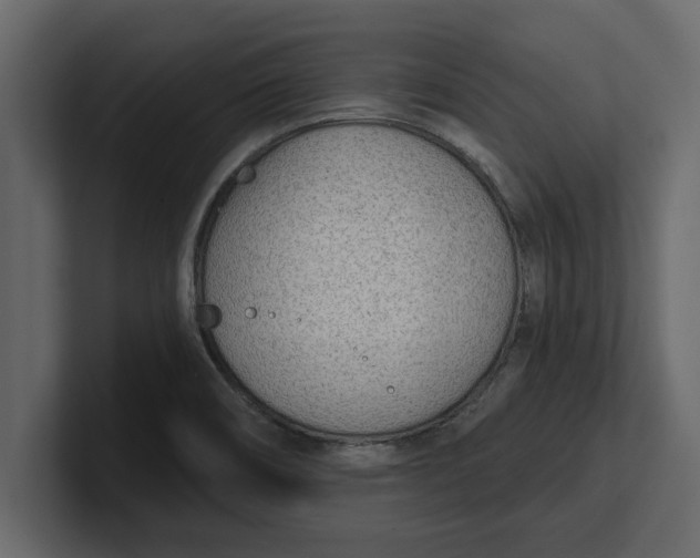 X0000100961466200807151348