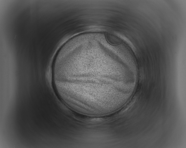 X0000100961467200807151348