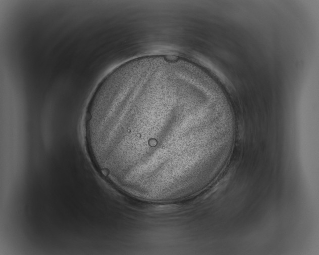 X0000100961471200807151347