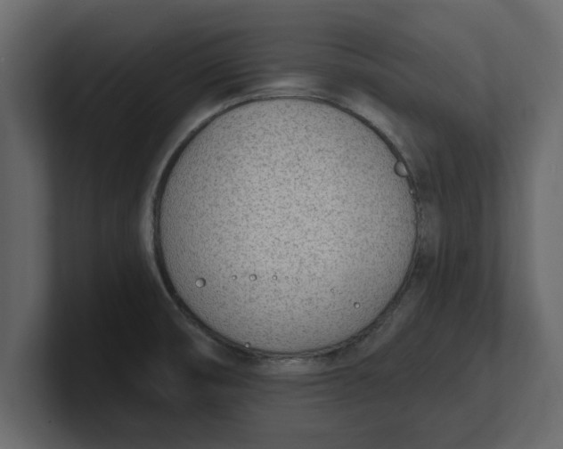 X0000100961474200807151347