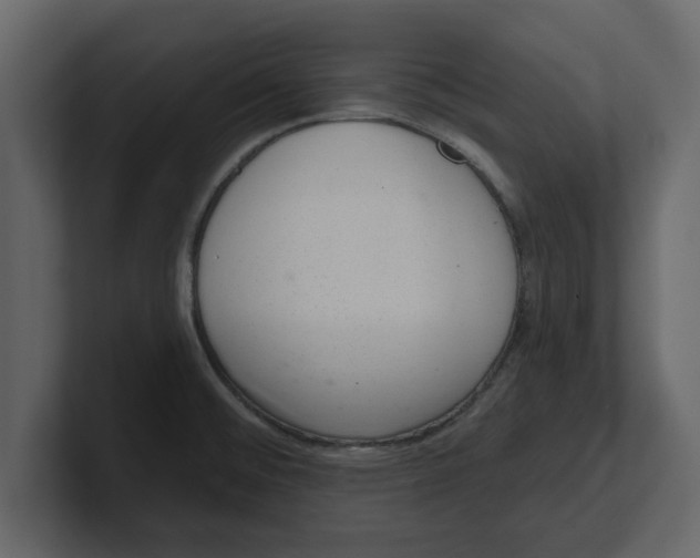 X0000100961476200807151347