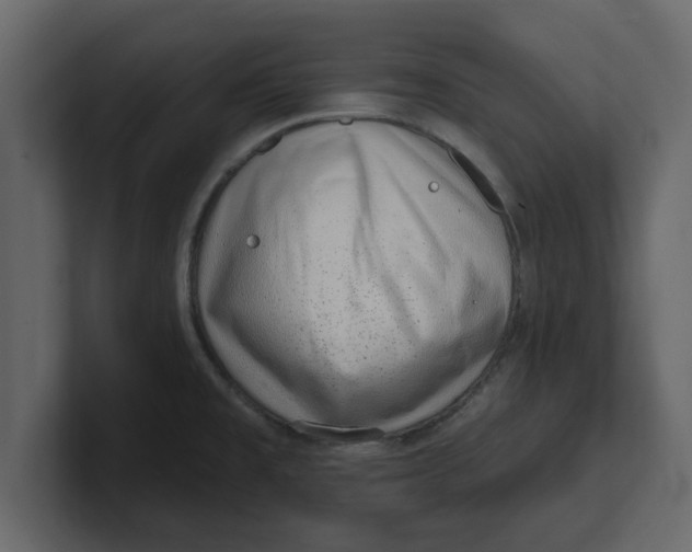 X0000100961477200807151347