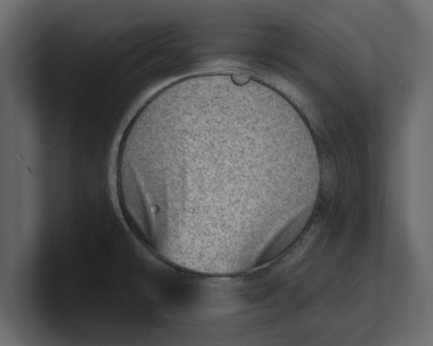 X0000100961478200807151347