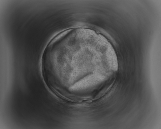 X0000100961479200807151347